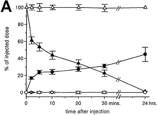 Fig. 1. Uptake, decay, and tissue distribution of red blood cells (RBCs). / (A) Liver uptake (circles) and blood decay (triangles) of native (open symbols) and oxidized (closed symbols) RBCs (OxRBC). At t = 0, a single bolus of 200 μL 10% hematocrit RBC suspension was injected, and at various times after injection a liver lobule and blood sample were taken. (B) Tissue distribution of OxRBC at 30 minutes (hatched bars) and 24 hours (black bars) after injection, expressed as percent of injected dose. (C) Specific uptake of OxRBC per gram tissue at 30 minutes (hatched bars) and 24 hours (black bars) after injection, expressed as percent of injected dose per gram wet tissue weight. All figures: native RBC: mean of 5 ± SEM; OxRBC: mean of 6 ± SEM. The total body recovery for OxRBC of 6 independent determinations at 30 minutes after injection was 86.4 ± 4.3%.