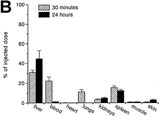 Fig. 1. Uptake, decay, and tissue distribution of red blood cells (RBCs). / (A) Liver uptake (circles) and blood decay (triangles) of native (open symbols) and oxidized (closed symbols) RBCs (OxRBC). At t = 0, a single bolus of 200 μL 10% hematocrit RBC suspension was injected, and at various times after injection a liver lobule and blood sample were taken. (B) Tissue distribution of OxRBC at 30 minutes (hatched bars) and 24 hours (black bars) after injection, expressed as percent of injected dose. (C) Specific uptake of OxRBC per gram tissue at 30 minutes (hatched bars) and 24 hours (black bars) after injection, expressed as percent of injected dose per gram wet tissue weight. All figures: native RBC: mean of 5 ± SEM; OxRBC: mean of 6 ± SEM. The total body recovery for OxRBC of 6 independent determinations at 30 minutes after injection was 86.4 ± 4.3%.