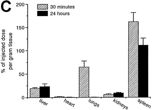 Fig. 1. Uptake, decay, and tissue distribution of red blood cells (RBCs). / (A) Liver uptake (circles) and blood decay (triangles) of native (open symbols) and oxidized (closed symbols) RBCs (OxRBC). At t = 0, a single bolus of 200 μL 10% hematocrit RBC suspension was injected, and at various times after injection a liver lobule and blood sample were taken. (B) Tissue distribution of OxRBC at 30 minutes (hatched bars) and 24 hours (black bars) after injection, expressed as percent of injected dose. (C) Specific uptake of OxRBC per gram tissue at 30 minutes (hatched bars) and 24 hours (black bars) after injection, expressed as percent of injected dose per gram wet tissue weight. All figures: native RBC: mean of 5 ± SEM; OxRBC: mean of 6 ± SEM. The total body recovery for OxRBC of 6 independent determinations at 30 minutes after injection was 86.4 ± 4.3%.