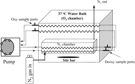 Fig. 1. Two-channel fast oxygenation/deoxygenation circulation system. / Oxygenated blood is pumped through the nitrogen chamber, outside the water bath to access ports, to the oxygenator, and back to the pump.