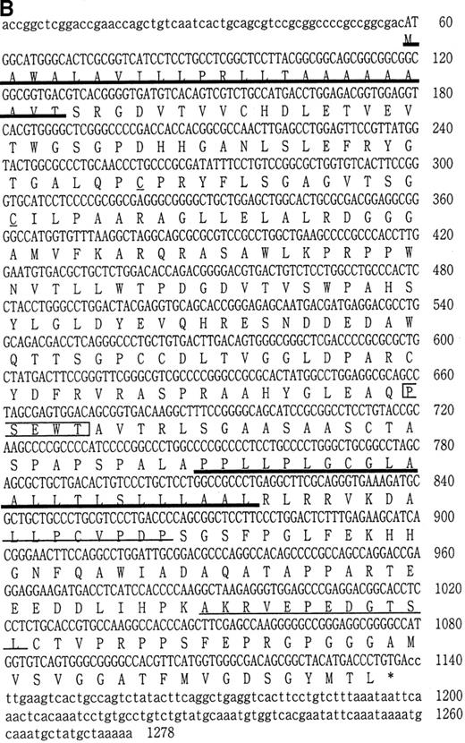 Fig. 1. Complementary DNA for the murine δ1. / (A) Schematic representation of 2 independent cDNAs for murine δ1 and a short form of δ1. The box represents the open reading frame. TM represents the transmembrane region. A clone obtained by SST-REX is also shown in the panel. (B) Nucleotide and deduced amino acid sequences of the cloned δ1 cDNA. Numbers at the right margin indicate positions of nucleotides. Thick underlines indicate a putative signal sequence and a transmembrane region. Thin underlines indicate the box1 and box2 regions. The boxed region is a WSXWS box-like sequence.