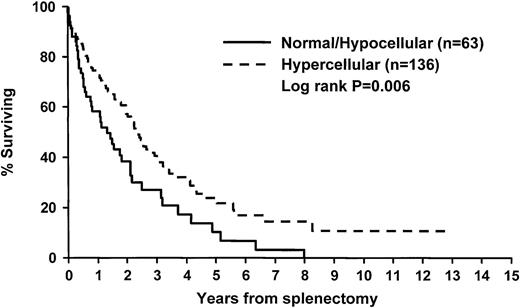 Fig. 4. Survival after splenectomy of patients with MMM, according to presplenectomy bone marrow cellularity.