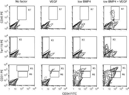 Fig. 3. Synergistic effect of VEGF on the BMP-dependent generation of CD34+ CD31+, Ter119+, and CD45+ EB cell population. E14 ES cells were induced to differentiate for 7 days in the serum-free medium without additional growth factor, with 20 ng/mL VEGF, with low concentration of BMP-4 (0.15 ng/mL), and with 0.15 ng/mL BMP-4 + 20 ng/mL VEGF. EB cells were harvested and stained with anti-CD45-PE, Ter119-PE or CD31-PE, and anti-CD34-FITC antibodies. Scatter patterns and isotype control staining patterns for EB cells are essentially the same as shown in Figure 1B. The designation of the regions is the same as in Figure 1. (left to right) R7: 0.0%, 0.05%, 0.22%, 3.5%; R3: 0.09%, 0.43%, 0.44%, 4.9%; R5: 0.25%, 0.71%, 1.0%, 3.5%; R6: 0.24%, 0.70%, 0.71%, 5.7%.