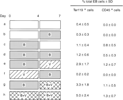 Fig. 6. 4-day treatment with BMP-4 followed by 3-day treatment with VEGF induced Ter119+ and CD45+ EB cells. E14 ES cells were induced to differentiate for 4 days with or without 1.5 ng/mL BMP-4, 10 ng/mL VEGF, or both in the serum-free medium followed by another 3 days in the presence or absence of these factors. Generations of Ter119+ erythroid cell and CD45+ macrophage progenitors were analyzed by FACScan on day 7. Scatter pattern, gate setting, and staining pattern of the isotype controls were as shown in Figure 1. Note that this series of experiments was performed without SCF. (a) Without factor for 7 days. (b) Without factor for 4 days followed by BMP-4 for 3 days. (c) With BMP-4 for 4 days, then without factor for 3 days. (d) With BMP-4 for 7 days. (e) With BMP-4 for 4 days followed by VEGF for 3 days. (f) With VEGF for 4 days followed by BMP-4 for 3 days. (g) With BMP-4 for 4 days followed by BMP-4 + VEGF for 3 days. (h) With BMP-4 + VEGF for 7 days. Data are displayed as averaged percentage total EB cell population obtained from 4 (for CD45) to 5 (for Ter119) independent experiments with the corresponding SD. Exception: (c) experiments were performed 3 times each.