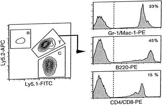 Fig. 1. Reconstitution analysis of the mice transplanted with day 12-fetal liver cells at 20 weeks after transplantation. / The representative FACS profile of peripheral blood analysis is shown. The reconstitution in tri-lineage: myeloid, B cell, and T cell was a criterion for engraftment. T: test donor cells (fetal liver cells derived from F1 mouse), C: competitor cells (bone marrow cells from B6-Ly5.1), and R: residual host cells from B6-Ly5.2. T/C ratio: a ratio of (% test donor-derived cells)/ (% competitor-derived cells). In this case, T = 45.0%, C = 44.0%, R = 1.0%, and T/C ratio = 1.02.