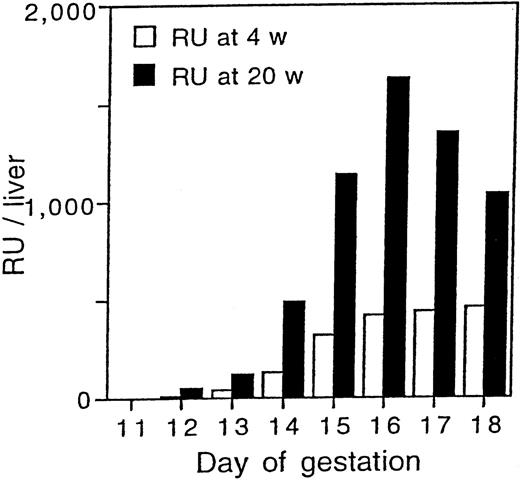 Fig. 2. Development of stem cell activity in the fetal liver. / Graphical presentation of the data in Table 2. The mean of total RU/liver at 4 and 20 weeks after transplantation are shown.