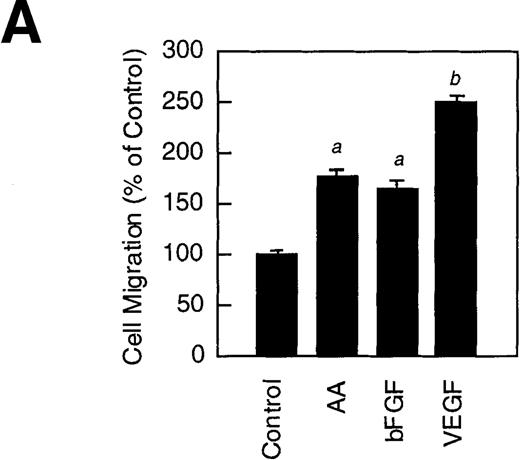 Fig. 3. Arachidonate metabolites in endothelial cell migration. / The migration assays were performed as described in “Materials and methods.” (A) Stimulation of RV-ECT migration by arachidonic acid (1 μmol/L), bFGF (10 ng/ml), and VEGF (10 ng/ml). (B) VEGF-stimulated RV-ECT migration involves lipoxygenase-dependent arachidonic acid metabolism. Treatment: VEGF, 10 ng/mL; ETYA, 5 μmol/L; NDGA, 50 μmol/L; indomethacin, 50 μmol/L. −, absence of treatment (vehicle only); +, presence of treatment. (C) Differential effects on RV-ECT cell migration by various HETEs. (D) Modulation of RV-ECT cell migration by 12-LOX inhibitor BHPP and 12(S)-HETE. Columns, percentage of the average number of cells migrated when compared with the controls; bars, SE (a, P < .05; b, P < 0.01; Student's t test). All migration assays were repeated at least 4 times.