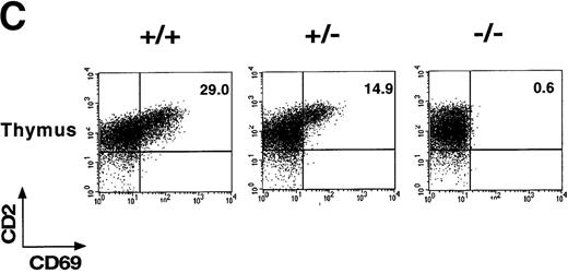 Fig. 1. CD69 gene disruption by homologous recombination. / (A) Schematic representation of the partial restriction maps of the mouse genomic CD69 locus, the targeting construct, and the targeted allele. The exons of the wild-type CD69 gene are shown as solid bars, boundaries of homology between the wild-type gene and the targeting construct are denoted by thin lines. (B) Southern blot analysis of BamHI-digested tail DNA from wild-type (+/+) and heterozygous (+/−) or homozygous (-/-) CD69 mice were analyzed with a 2-kb HindIII-EcoRI fragment from the genomic Xba-EcoRI fragment mapping 5′of the targeting construct. The unmutated CD69 gene produced a 12-kb fragment, whereas the mutated allele results in a 9-kb fragment. (C) CD69 expression in wild-type, CD69 (+/−), and in CD69 (-/-) mice. Flow cytometry analysis of CD69 expression in thymus from wild type (+/+), heterozygous(+/−), or homozygous (-/-) CD69 mutant mice. (D) CD69 expression in spleen, lymph node, and peripheral blood lymphocytes from wild type (+/+) or CD69 (-/-) mutant mice. Cells were activated with PMA at 10 ng/mL for 15 hours. Cells were double-stained with anti-CD69 and anti-CD2 labeled monoclonal antibodies and analyzed by flow cytometry.