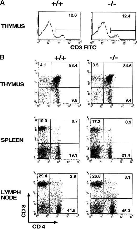 Fig. 2. Lymphocyte subpopulation analysis in CD69 (-/-) and wild-type mice. / Cells from lymphoid organs were obtained from CD69 (-/-) mice and wild-type littermate controls, then immunofluorescently stained and analyzed using flow cytometry. (A, B) CD3 expression on thymocytes and CD4 and CD8 markers on thymocytes, splenocytes, and lymph node cells. Numbers indicate the percentage of lymphoid populations. Data from a single mouse are shown, they are representative of more than five mice per group and from more than one litter. (C) Immunochemical analysis of lymphoid organs from CD69 (-/-) mice. Frozen sections of lymph nodes and spleens from unimmunized mice were immunostained for immunoglobulin M. Peyer's patches obtained from mice 10 days after challenge by intraperitoneal injection of 10 μg of alum absorbed 2,4-dinitrophenyl-keyhole limpet hemocyanin mice were stained with anti-CD5.
