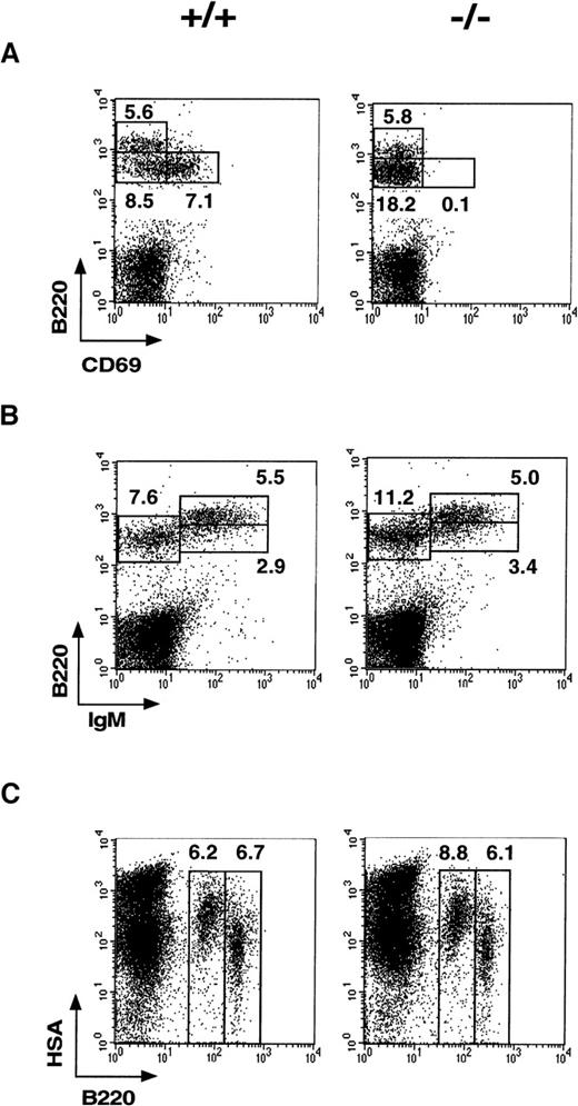 Fig. 3. Phenotypic analysis of B-cell precursors in CD69 (-/-) and wild-type bone marrow. / (A-C) Two-color immunofluorescence analysis with anti-B220 and anti-CD69 monoclonal antibody shows that B220+CD69+ cells are enriched in the B220int lymphocyte fraction. In CD69 (-/-) mice, the increase in IgM−B220+ and HSA+B220+ cell subsets is also shown.