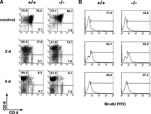 Fig. 4. Analysis of thymic selection and in vivo proliferation of mature T cells in CD69 (-/-) F5 T-cell receptor (TCR) transgenic mice. / (A) Two-color flow cytometry analysis was performed in thymocytes of F5 TCR transgenic mice untreated or after the administration of NP366–374 as described in Materials and methods section. (B) The proliferative capability of mature T cells in CD69 (-/-) mice was analyzed in vivo after bromodeoxyuridine (BrdU) treatment as in the Materials and methods section. Numbers indicate the percentage of positive, BrdU-incorporating lymph node cells. Data shown are representative of results obtained in three mice per group and from more than one litter.