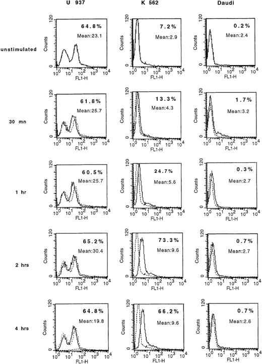 Fig. 3. IFN-γ induces K562 cells to rapidly express membrane PAF receptors. / K562 and Daudi cells were stimulated with 300 U/mL of human IFN-γ for 30 minutes and for 1, 2, and 4 hours and were analyzed by flow cytometry for PAF receptor membrane expression. U937 cells were used as positive controls. The background signal is shown (dotted lines). Inset numbers indicate the percentage of cells expressing the protein and the mean fluoresence intensity at the indicated times. Regarding the capacity of tumor cells to express membrane PAF receptor, K562 cells were IFN-γ sensitive; Daudi cells, IFN-γ resistant.