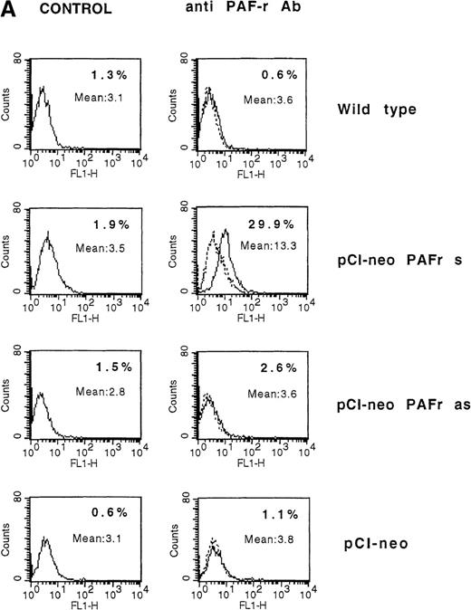 Fig. 6. (A) Daudi cells transfected with the PAF-receptor cDNA express membrane PAF receptors. Wild-type Daudi cells were transfected by the plasmid pCI-neo vectors expressing the sense PAF receptor cDNA gene (pCI-neo.PAF-R s), the PAF receptor antisense cDNA gene (pCI-neo. PAF-R as), and by a plasmid expressing no gene (pCI-neo) control vector. At 4 days later, PAF receptor membrane expression was quantified by flow cytometry using an mAb anti-PAF receptor on nonpermeabilized Daudi transfected cells (solid lines). Cells were stained with propidium iodide to facilitate discrimination among live and dead cells. The background signal is shown (dotted lines). Inset numbers indicate the percentage of cells expressing the PAF receptor on untransfected Daudi cells (wild-type), Daudi cells transfected with pCI-neo PAF receptor sense gene (pCI-neo PAF-R s), Daudi cells transfected with the pCI-neo PAF receptor antisense gene (pCI-neo PAF-R as), and Daudi cells transfected with pCI-neo. (B) PAF-receptor cDNA transfection in the MHC class I and FasR-negative NK-resistant Daudi cells restores susceptibility to NK perforin-dependent lysis. Wild-type Daudi cells and PAF-receptor–positive (pCI-neo PAF-R s), PAF-receptor–negative (pCI-neo PAF-R as and pCI-neo plasmids) transfected Daudi cells were used independently as targets in short-term 51Cr-release assays using naive NK cells as effectors. PAF-receptor–positive Daudi cell susceptibility to NK cells was tested with and without a PAF-receptor antagonist, WEB 2086, added at 2 μmol/L. Resting NK cells were mixed with labeled target cells at the E-to-T ratios of 50:1, 25:1, 12:1, and 6:1, and perforin-induced Daudi cell lysis was measured at 4 hours. Naive NK cells were totally unable to lyse PAF-receptor–negative Daudi cells (wild-type and PAF-receptor–negative transfectants) but were efficient in killing PAF-receptor–positive Daudi cells. The susceptibility of PAF-receptor–expressing Daudi cells to NK lysis was totally reversed in the presence of the PAF receptor antagonist (pCI-neo PAF-R s + WEB).