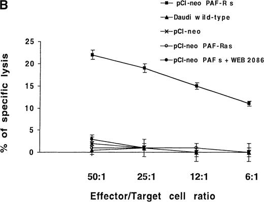 Fig. 6. (A) Daudi cells transfected with the PAF-receptor cDNA express membrane PAF receptors. Wild-type Daudi cells were transfected by the plasmid pCI-neo vectors expressing the sense PAF receptor cDNA gene (pCI-neo.PAF-R s), the PAF receptor antisense cDNA gene (pCI-neo. PAF-R as), and by a plasmid expressing no gene (pCI-neo) control vector. At 4 days later, PAF receptor membrane expression was quantified by flow cytometry using an mAb anti-PAF receptor on nonpermeabilized Daudi transfected cells (solid lines). Cells were stained with propidium iodide to facilitate discrimination among live and dead cells. The background signal is shown (dotted lines). Inset numbers indicate the percentage of cells expressing the PAF receptor on untransfected Daudi cells (wild-type), Daudi cells transfected with pCI-neo PAF receptor sense gene (pCI-neo PAF-R s), Daudi cells transfected with the pCI-neo PAF receptor antisense gene (pCI-neo PAF-R as), and Daudi cells transfected with pCI-neo. (B) PAF-receptor cDNA transfection in the MHC class I and FasR-negative NK-resistant Daudi cells restores susceptibility to NK perforin-dependent lysis. Wild-type Daudi cells and PAF-receptor–positive (pCI-neo PAF-R s), PAF-receptor–negative (pCI-neo PAF-R as and pCI-neo plasmids) transfected Daudi cells were used independently as targets in short-term 51Cr-release assays using naive NK cells as effectors. PAF-receptor–positive Daudi cell susceptibility to NK cells was tested with and without a PAF-receptor antagonist, WEB 2086, added at 2 μmol/L. Resting NK cells were mixed with labeled target cells at the E-to-T ratios of 50:1, 25:1, 12:1, and 6:1, and perforin-induced Daudi cell lysis was measured at 4 hours. Naive NK cells were totally unable to lyse PAF-receptor–negative Daudi cells (wild-type and PAF-receptor–negative transfectants) but were efficient in killing PAF-receptor–positive Daudi cells. The susceptibility of PAF-receptor–expressing Daudi cells to NK lysis was totally reversed in the presence of the PAF receptor antagonist (pCI-neo PAF-R s + WEB).