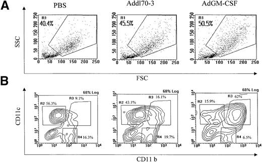 Fig. 1. Identification of pulmonary antigen-presenting cell (APC) populations under different conditions. / Total mononuclear cells were isolated from mouse lungs that received 0.6 × 109 plaque-forming units adenoviral gene vector expressing murine GM-CSF (AdGM-CSF) or Addl70-3, or 40 μL of sterile phosphate-buffered saline at day 12. Approximately 0.3 × 106 cells were immunostained with FITC-CD11b, PE-CD11c and biotinylated-MHC II, B7.1, or rat immunoglobulin (Ig)G2a antibodies. Data were collected from FACScan. (A) General cellular profile for each group was shown on forward-side scatter, macrophage/monocyte-like cell enriched population was gated as R1. (B) R1 region cells were further divided into three subpopulations in contour plot based on CD11b and CD11c expression. (C) The absolute cell numbers for each population derived from single mouse in different groups. Data are representative of three individual experiments.