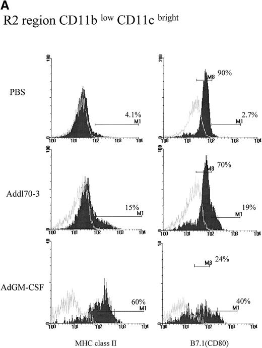 Fig. 2. Effect of granulocyte-macrophage colony-stimulating factor (GM-CSF) on activation of R2 region CD11blow/CD11cbright population during pulmonary adenoviral infection. / Following the procedure described in Figure 1, (A) MHC II and B7.1 expression were examined on R2 region for each group. Open histograms represent the background staining with the isotype control antibody, whereas solid histograms indicate staining with relevant monoclonal antibody against the indicated surface molecule. M1 markers represent the limit defining the expression at high levels of the corresponding marker. In the case of B7.1 expression, the majority of cells from R2 region in control groups expressed at dull level that labeled as M8. (B) The absolute cell numbers for double positive for CD11c and MHC II or B7.1 derived from single mouse in different groups.
