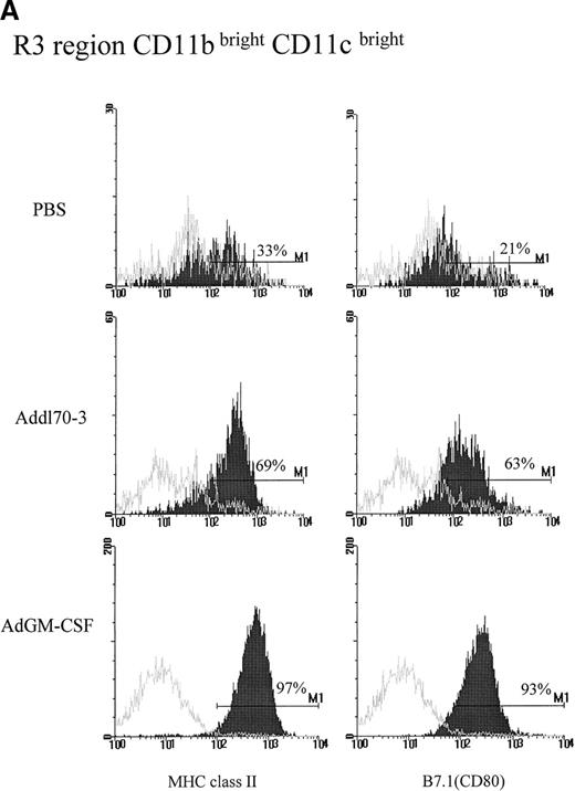 Fig. 3. Effect of granulocyte-macrophage colony-stimulating factor (GM-CSF) on activation of R3 region CD11bbright/CD11cbright population during pulmonary adenoviral infection. / Following the procedure described in Figure 1, (A) MHC II and B7.1 expression on R3 region was examined for each group. Open histograms represent the background staining with the isotype control antibody, whereas solid histograms indicate staining with relevant monoclonal antibody against the indicated surface molecule. M1 markers represent the limit defining the expression at high levels of the corresponding marker. (B) The absolute cell numbers for triple positive for CD11b, CD11c, and MHC class II or B7.1 derived from single mouse in different groups.