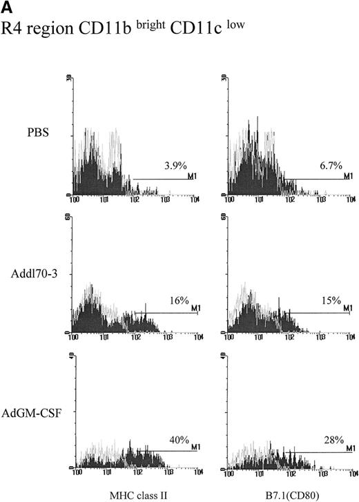 Fig. 4. Effect of granulocyte-macrophage colony-stimulating factor (GM-CSF) on activation of R4 region CD11bbright/CD11clow population during pulmonary adenoviral infection. / Following the procedure described in Figure 1, (A) MHC II and B7.1 expression was examined on R4 region for each group. Open histograms represent the background staining with the isotype control antibody, whereas solid histograms indicate staining with relevant monoclonal antibody against the indicated surface molecule. M1 markers represent the limit defining the expression at high levels of the corresponding marker. (B) The absolute cell numbers for double positive for CD11b and MHC II or B7.1 derived from a single mouse in different groups.