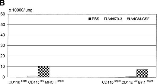 Fig. 4. Effect of granulocyte-macrophage colony-stimulating factor (GM-CSF) on activation of R4 region CD11bbright/CD11clow population during pulmonary adenoviral infection. / Following the procedure described in Figure 1, (A) MHC II and B7.1 expression was examined on R4 region for each group. Open histograms represent the background staining with the isotype control antibody, whereas solid histograms indicate staining with relevant monoclonal antibody against the indicated surface molecule. M1 markers represent the limit defining the expression at high levels of the corresponding marker. (B) The absolute cell numbers for double positive for CD11b and MHC II or B7.1 derived from a single mouse in different groups.