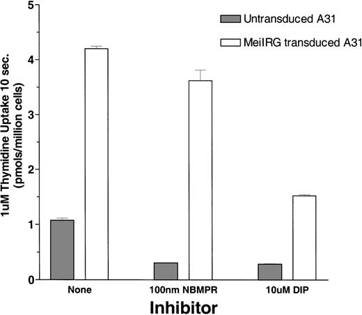 Fig. 1. Thymidine uptake in cells transduced with the MeiIRG retroviral vector. / BALB/3T3 A31 cells were transduced with MeiIRG retroviral vector, expressing the human nitrobenzylmercaptopurine riboside (NBMPR)-insensitive equilibrative nucleoside transporter eigene and a green fluorescent protein (GFP) reporter gene. Uptake of3H thymidine (Thd; 1.0 μmol/L at 4 μCi/mL) was measured in untransduced and MeiIRG-transduced A31 cells in the presence or absence of 100 nmol/L NBMPR or 10 μmol/L dipyridamole (DIP) in sodium-free MGA transport buffer. Cells were preincubated for 5 minutes at 22°C with either MGA buffer alone or MGA containing 100 nmol/L NBMPR or 10 mmol/L DIP before the addition of 3H Thd. Nucleoside uptake was determined at a constant time interval of 10 seconds. The values presented are from assays conducted in triplicate.