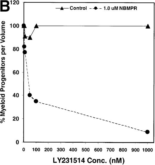 Fig. 2. NBMPR-induced potentiation of Tomudex and LY231514 cytotoxicity in control murine myeloid progenitor cells. / Murine bone marrow cells were transduced with a control retroviral vector expressing only GFP. Transduced cells were treated in growth medium supplemented with 15% dialyzed FBS, myeloid cytokines, 1 μmol/L thymidine, and 100 μmol/L hypoxanthine. Varying concentrations of Tomudex (0 to 500 nmol/L) (A) or LY231514 (0 to 1000 nmol/L) (B) were added to culture media in the presence or absence of 1 μmol/L NBMPR. After 4 days of drug treatment, the volume equivalent 1 × 105 BM cells from control untreated cultures were washed and plated in 3 mL drug-free methylcellulose semisolid media. Myeloid progenitor colony counts were determined 7 days later by scoring colonies with more than 50 cells. Progenitor contents of the drug-treated cultures are expressed as a percentage of the colony number observed in untreated cultures.