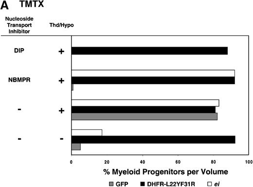 Fig. 3. Protection of murine progenitor cells in vitro from the cytotoxic effects of Trimetrexate, Tomudex, or LY231 514 together with NBMPR. / Murine BM cells were transduced with retroviral vectors expressing only the GFP gene, an L22YF31R trimetrexate (TMTX)-insensitive variant of the DHFR gene, or the NBMPR-insensitive nucleoside transporterei gene. Cells were then treated in suspension culture for 4 days in dialyzed FBS supplemented with myeloid cytokines in the presence or absence of 100 nmol/L Thd and 100 μmol/L hypoxanthine. 150 nmol/L TMTX (A), 100 nmol/L Tomudex (B), and 1 μmol/L LY231514 (C) were added to the suspension cultures in the presence or absence of 100 nmol/L NBMPR or 10 μmol/L DIP as indicated. After 4 days of drug treatment, cells were washed and plated in drug-free semisolid media, and the myeloid progenitor counts were determined. The progenitor cell counts in drug-treated cultures are expressed as a percentage of the colony number observed in untreated cultures.