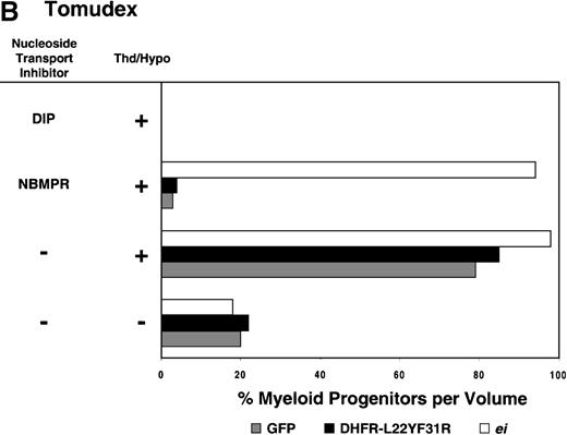 Fig. 3. Protection of murine progenitor cells in vitro from the cytotoxic effects of Trimetrexate, Tomudex, or LY231 514 together with NBMPR. / Murine BM cells were transduced with retroviral vectors expressing only the GFP gene, an L22YF31R trimetrexate (TMTX)-insensitive variant of the DHFR gene, or the NBMPR-insensitive nucleoside transporterei gene. Cells were then treated in suspension culture for 4 days in dialyzed FBS supplemented with myeloid cytokines in the presence or absence of 100 nmol/L Thd and 100 μmol/L hypoxanthine. 150 nmol/L TMTX (A), 100 nmol/L Tomudex (B), and 1 μmol/L LY231514 (C) were added to the suspension cultures in the presence or absence of 100 nmol/L NBMPR or 10 μmol/L DIP as indicated. After 4 days of drug treatment, cells were washed and plated in drug-free semisolid media, and the myeloid progenitor counts were determined. The progenitor cell counts in drug-treated cultures are expressed as a percentage of the colony number observed in untreated cultures.