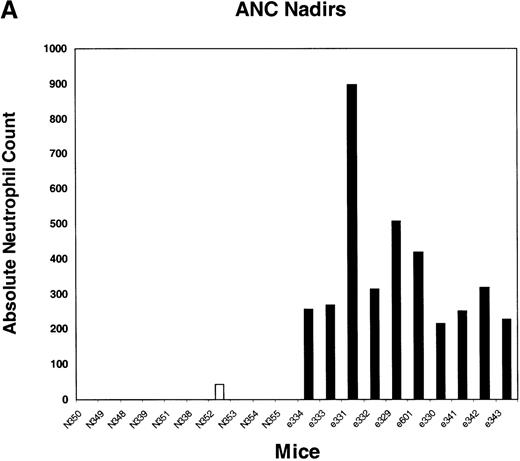 Fig. 4. Peripheral blood absolute neutrophil count and reticulocyte index nadirs in transplanted mice treated with TMTX and NBMPR-P. / Mice transplanted with untransduced (N) or MeiIRG (e)-transduced BM cells were treated with 100 mg/kg TMTX together with 20 mg/kg NBMPR daily for 5 days, 10 weeks after transplantation. The absolute neutrophil count (ANC; A) and the reticulocyte index (B) were determined 24 hours after the final treatment. Each bar represents the value for an individual mouse.