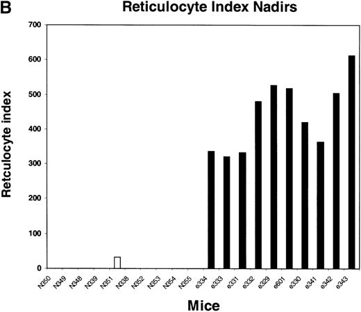 Fig. 4. Peripheral blood absolute neutrophil count and reticulocyte index nadirs in transplanted mice treated with TMTX and NBMPR-P. / Mice transplanted with untransduced (N) or MeiIRG (e)-transduced BM cells were treated with 100 mg/kg TMTX together with 20 mg/kg NBMPR daily for 5 days, 10 weeks after transplantation. The absolute neutrophil count (ANC; A) and the reticulocyte index (B) were determined 24 hours after the final treatment. Each bar represents the value for an individual mouse.