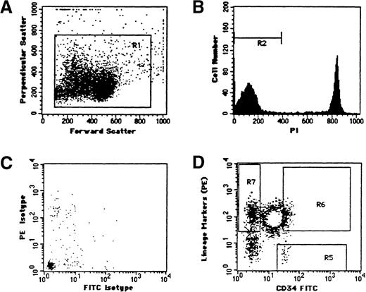 Fig. 1. Multivariate flow cytometric analysis of specimen 15. / (A) Bivariate light scatter distribution. R1 is the gate used to discriminate nucleated cells. (B) PI fluorescence intensity of R1 gated cells. R2 defines viable cells contained within the R1 gate. (C) Isotype FITC- and PE-labeled control and (D) CD34-linked immunofluorescence (abscissa) versus lineage markers (ordinate). Sort gates: R5 (CD34+lin−), R6 (CD34+lin+), R7 (CD34-lin+).