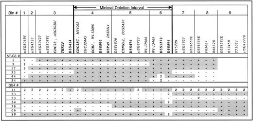 Fig. 3. Radiation hybrid breakpoint map of 5q31 interval. / Vertical bars indicate the boundaries of the RH bins based on the presence of a breakpoint in any hybrid in the panel. The extent of the minimal deletion interval is labeled and indicated by bold vertical bars. Markers used in the study are listed in the row above the panel, from centromere (left) to telomere (right). Expressed sequences are italicized; known genes are italicized in bold and appear next to an identifying EST, if known. Polymorphic markers are shown in nonitalicized bold script. Identifying numbers for radiation hybrids are listed in the left column for the Stanford G3 panel (upper half) and the Genebridge 4 panel (lower half). Shaded squares (+) indicate that the marker scored positive; (−) indicates that the marker scored negative; (2) indicates an ambiguous signal; blanks indicate the marker has not been tested.