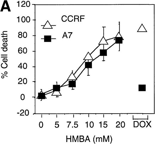 Fig. 2. Hexamethylene bisacetamide (HMBA)-induced cell death in P-glycoprotein (P-gp) cell lines. / P-gp+ (A7) and P-gp- (CCRF) CEM cells (A), P-gp+ (LoVo-adr) and P-gp- (LoVo) LoVo colon carcinoma cells (B), and P-gp+ (KVIN) and P-gp-(K562) K562 myeloid cells (C) were cultured for 72 hours with 0-20 mmol/L HMBA or 100-200 ng/mL doxorubicin. Cells were counted at 72 hours by trypan blue exclusion as described in “Materials and methods.” (D) After 3 days in culture with 0-20 mmol/L HMBA or 100 ng/mL doxorubicin, A7 and CCRF cells were plated out in soft agar. Colonies were scored after 2 weeks in culture as described in Materials and methods section.