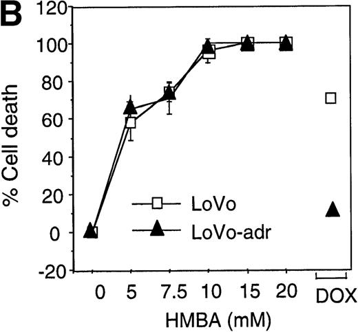Fig. 2. Hexamethylene bisacetamide (HMBA)-induced cell death in P-glycoprotein (P-gp) cell lines. / P-gp+ (A7) and P-gp- (CCRF) CEM cells (A), P-gp+ (LoVo-adr) and P-gp- (LoVo) LoVo colon carcinoma cells (B), and P-gp+ (KVIN) and P-gp-(K562) K562 myeloid cells (C) were cultured for 72 hours with 0-20 mmol/L HMBA or 100-200 ng/mL doxorubicin. Cells were counted at 72 hours by trypan blue exclusion as described in “Materials and methods.” (D) After 3 days in culture with 0-20 mmol/L HMBA or 100 ng/mL doxorubicin, A7 and CCRF cells were plated out in soft agar. Colonies were scored after 2 weeks in culture as described in Materials and methods section.