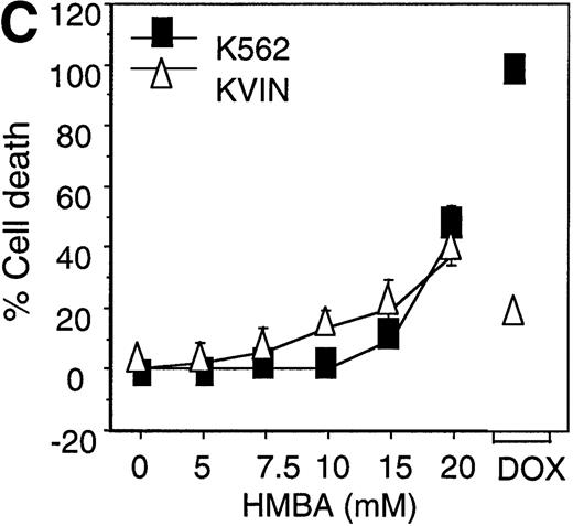 Fig. 2. Hexamethylene bisacetamide (HMBA)-induced cell death in P-glycoprotein (P-gp) cell lines. / P-gp+ (A7) and P-gp- (CCRF) CEM cells (A), P-gp+ (LoVo-adr) and P-gp- (LoVo) LoVo colon carcinoma cells (B), and P-gp+ (KVIN) and P-gp-(K562) K562 myeloid cells (C) were cultured for 72 hours with 0-20 mmol/L HMBA or 100-200 ng/mL doxorubicin. Cells were counted at 72 hours by trypan blue exclusion as described in “Materials and methods.” (D) After 3 days in culture with 0-20 mmol/L HMBA or 100 ng/mL doxorubicin, A7 and CCRF cells were plated out in soft agar. Colonies were scored after 2 weeks in culture as described in Materials and methods section.