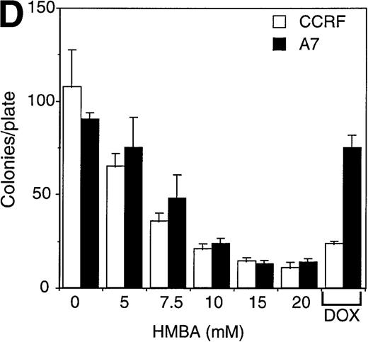 Fig. 2. Hexamethylene bisacetamide (HMBA)-induced cell death in P-glycoprotein (P-gp) cell lines. / P-gp+ (A7) and P-gp- (CCRF) CEM cells (A), P-gp+ (LoVo-adr) and P-gp- (LoVo) LoVo colon carcinoma cells (B), and P-gp+ (KVIN) and P-gp-(K562) K562 myeloid cells (C) were cultured for 72 hours with 0-20 mmol/L HMBA or 100-200 ng/mL doxorubicin. Cells were counted at 72 hours by trypan blue exclusion as described in “Materials and methods.” (D) After 3 days in culture with 0-20 mmol/L HMBA or 100 ng/mL doxorubicin, A7 and CCRF cells were plated out in soft agar. Colonies were scored after 2 weeks in culture as described in Materials and methods section.