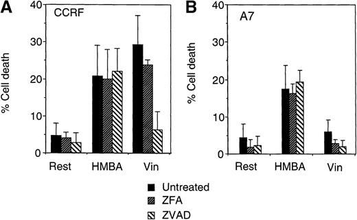 Fig. 4. Hexamethylene bisacetamide (HMBA)-induced caspase-independent cell death. / CCRF (A, C) and A7 (B, D) CEM cells were treated with 10 mmol/L HMBA or 5 ng/mL vincristine (Vin) for 48 hours. In some wells, cells were pre-incubated for 4 hours with 40 μmol/L ZFA-fmk or ZVAD-fmk. Cells were assayed by trypan blue exclusion as described in “Materials and methods” (A, B) or were stained with Hoechst 33 258 and visualized by confocal microscopy and scored for apoptotic nuclei as described in “Materials and methods” (C, D). Protein lystates were prepared from cells treated as above and separated by SDS-PAGE. Western blots were performed using polyclonal anti-PARP antibody (e). The active 118-kD and inactive 89-kD forms of PARP are indicated.
