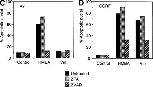 Fig. 4. Hexamethylene bisacetamide (HMBA)-induced caspase-independent cell death. / CCRF (A, C) and A7 (B, D) CEM cells were treated with 10 mmol/L HMBA or 5 ng/mL vincristine (Vin) for 48 hours. In some wells, cells were pre-incubated for 4 hours with 40 μmol/L ZFA-fmk or ZVAD-fmk. Cells were assayed by trypan blue exclusion as described in “Materials and methods” (A, B) or were stained with Hoechst 33 258 and visualized by confocal microscopy and scored for apoptotic nuclei as described in “Materials and methods” (C, D). Protein lystates were prepared from cells treated as above and separated by SDS-PAGE. Western blots were performed using polyclonal anti-PARP antibody (e). The active 118-kD and inactive 89-kD forms of PARP are indicated.