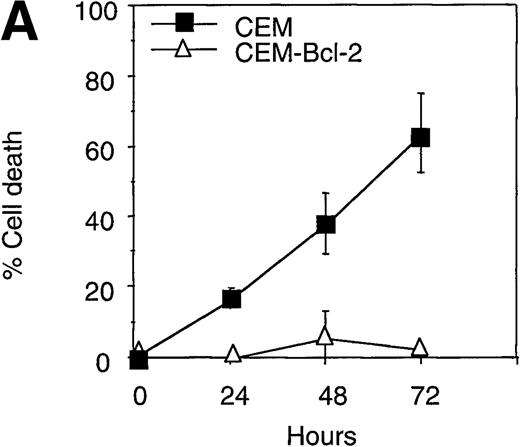 Fig. 7. Overexpression of Bcl-2 inhibits hexamethylene bisacetamide (HMBA)-mediated cell death. / (A) CEM and CEM-Bcl-2 cells were cultured with 10 mmol/L HMBA for 72 hours, and cell death was assayed by trypan blue exclusion. These data were calculated as the mean± SE of duplicate samples and are representative of at least three separate experiments. (B) After incubation with 0, 1, 5, 7.5, 10, and 15 mmol/L HMBA for 72 hours, cells were plated out in soft agar. Colonies were scored after 7 days in culture as described in “Materials and methods.” (C) Cytosolic lysates from CEM (lanes 1-2) or CEM-Bcl-2 (lanes 3-4) cells either untreated (lanes 1 and 3) or treated for 72 hours with 10 mmol/L HMBA (lanes 2 and 4) were separated by SDS/PAGE and Western blotted for cytochrome c (15-kD protein) and then α-Tubulin (50-kD protein).