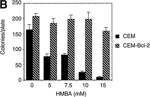 Fig. 7. Overexpression of Bcl-2 inhibits hexamethylene bisacetamide (HMBA)-mediated cell death. / (A) CEM and CEM-Bcl-2 cells were cultured with 10 mmol/L HMBA for 72 hours, and cell death was assayed by trypan blue exclusion. These data were calculated as the mean± SE of duplicate samples and are representative of at least three separate experiments. (B) After incubation with 0, 1, 5, 7.5, 10, and 15 mmol/L HMBA for 72 hours, cells were plated out in soft agar. Colonies were scored after 7 days in culture as described in “Materials and methods.” (C) Cytosolic lysates from CEM (lanes 1-2) or CEM-Bcl-2 (lanes 3-4) cells either untreated (lanes 1 and 3) or treated for 72 hours with 10 mmol/L HMBA (lanes 2 and 4) were separated by SDS/PAGE and Western blotted for cytochrome c (15-kD protein) and then α-Tubulin (50-kD protein).