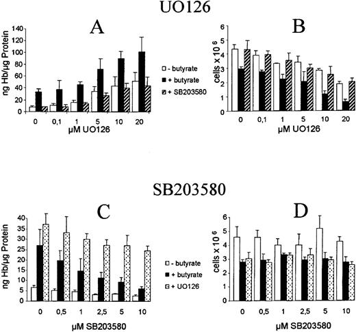 Fig. 5. Effect of ERK inhibitor UO126 and p38 inhibitor SB203580 on butyrate-mediated erythroid differentiation of K562s cells. / Cells were cultured for 4 days in the absence (white bars) or presence (black bars) of butyrate. Simultaneous addition of both inhibitors are shown as dashed bars (A and B: 10 μM SB203580 plus increasing concentrations of UO126) or dotted bars (C and D: 10 μM UO126 plus increasing concentrations of SB203580). Inhibitors were added 1 hour prior to butyrate. Cell numbers were counted and cells were then harvested and lysed. Hemoglobin and protein concentrations were determined as described in “Materials and methods.” Each experiment was performed 4 times and standard errors were calculated as indicated.