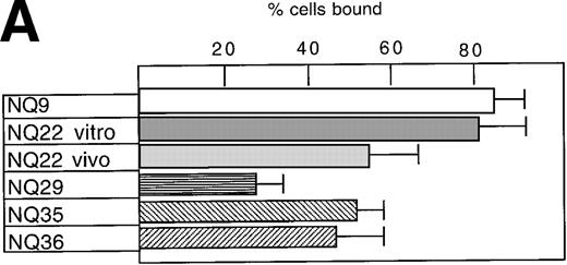 Fig. 2. Cell adhesion. / (A) Cell adhesion of lymphoma cell lines to bovine serum albumin or FN coated at 10 μg/mL was carried out in the presence of 0.3 mmol/L Mg2+ or 20 μmol/L Mn2+. The values reported represent the average of 3 experiments. (B) Cell adhesion to endothelial cells. Confluent H-end80 monolayers were incubated with media alone or with media containing TNF-α for 16 hours and rinsed with DMEM. NQ22 and NQ29 cells (2 × 105) in DMEM were added for 20 minutes at 37°C under static conditions. At the end of the incubation period, the nonadherent cells were removed by gentle rinsing with DMEM and the percentage of bound cells was determined as detailed in “Materials and methods.” (C) NQ22 and NQ29 cell adhesion to purified VCAM-1 or bovine serum albumin coated at 10 μg/mL. For the inhibition of cell attachment to H-end80 cells and to purified VCAM-1, the different antibodies were added at 5 μg/mL just before the lymphoma cells were plated. The antibodies used were the following: DATK-32 (α4β7); M1/70 (Mac-1/αMβ2); PS/2 (α4); M298 (β7); and 429 (VCAM-1).