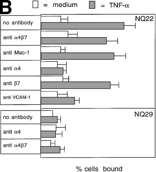 Fig. 2. Cell adhesion. / (A) Cell adhesion of lymphoma cell lines to bovine serum albumin or FN coated at 10 μg/mL was carried out in the presence of 0.3 mmol/L Mg2+ or 20 μmol/L Mn2+. The values reported represent the average of 3 experiments. (B) Cell adhesion to endothelial cells. Confluent H-end80 monolayers were incubated with media alone or with media containing TNF-α for 16 hours and rinsed with DMEM. NQ22 and NQ29 cells (2 × 105) in DMEM were added for 20 minutes at 37°C under static conditions. At the end of the incubation period, the nonadherent cells were removed by gentle rinsing with DMEM and the percentage of bound cells was determined as detailed in “Materials and methods.” (C) NQ22 and NQ29 cell adhesion to purified VCAM-1 or bovine serum albumin coated at 10 μg/mL. For the inhibition of cell attachment to H-end80 cells and to purified VCAM-1, the different antibodies were added at 5 μg/mL just before the lymphoma cells were plated. The antibodies used were the following: DATK-32 (α4β7); M1/70 (Mac-1/αMβ2); PS/2 (α4); M298 (β7); and 429 (VCAM-1).
