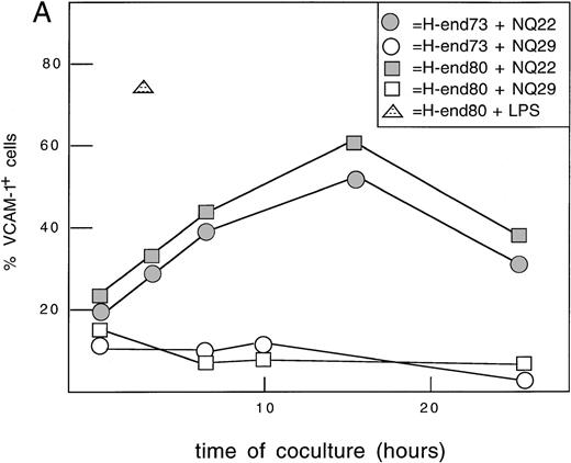 Fig. 4. Induction of VCAM-1 on murine endothelial cells. / (A) Time-course. H-end73 (◍, ○) and H-end80 (□) cells were cocultured for different lengths of time with NQ22 (◍, ░) or NQ29 (○, □) cell suspensions obtained from frankly leukemic spleen (NQ22) or from a large SC tumor mass (NQ29), and the percentage of VCAM-1 positive cells was assessed by flow cytometry analysis using anti-VCAM-1 mAb 429. H-end80 stimulated with 100 ng/mL lipopolysaccharide (△) for 3 hours was used as positive control and similarly processed for flow cytometry analysis. (B) Induction of VCAM-1 by different cell types. H-end80 cells were cocultured for 7 hours with cell suspensions obtained from in vitro-grown NQ22 cells (NQ22 vitro), NQ22 cells isolated from an infiltrated spleen (NQ22 spleen), or a subcutaneous tumor mass (NQ22 SC mass) and from a subcutaneous mass of NQ29 cells (NQ29 SC mass). The expression of VCAM-1 was assessed with mAb 429. Control, isotype-matched unrelated primary antibody was added; basal, basal expression of VCAM-1 in H-end80 cells.