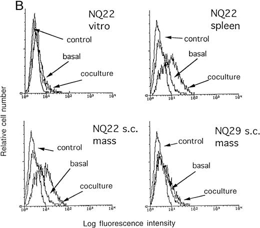 Fig. 4. Induction of VCAM-1 on murine endothelial cells. / (A) Time-course. H-end73 (◍, ○) and H-end80 (□) cells were cocultured for different lengths of time with NQ22 (◍, ░) or NQ29 (○, □) cell suspensions obtained from frankly leukemic spleen (NQ22) or from a large SC tumor mass (NQ29), and the percentage of VCAM-1 positive cells was assessed by flow cytometry analysis using anti-VCAM-1 mAb 429. H-end80 stimulated with 100 ng/mL lipopolysaccharide (△) for 3 hours was used as positive control and similarly processed for flow cytometry analysis. (B) Induction of VCAM-1 by different cell types. H-end80 cells were cocultured for 7 hours with cell suspensions obtained from in vitro-grown NQ22 cells (NQ22 vitro), NQ22 cells isolated from an infiltrated spleen (NQ22 spleen), or a subcutaneous tumor mass (NQ22 SC mass) and from a subcutaneous mass of NQ29 cells (NQ29 SC mass). The expression of VCAM-1 was assessed with mAb 429. Control, isotype-matched unrelated primary antibody was added; basal, basal expression of VCAM-1 in H-end80 cells.