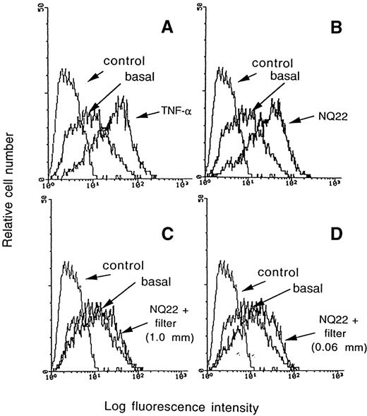Fig. 5. Induction of VCAM-1 can be inhibited by a nitrocellulose membrane. / VCAM-1 expression was evaluated on H-end80 cells cocultured for 7 hours with NQ22 cells (B); with NQ22 cells separated by a tissue culture insert with an anopore membrane bearing 0.02-μm diameter pores in which the 2 cell types were separated by a distance of approximately1 mm (C); with NQ22 cells separated by a tissue culture insert with an anopore membrane bearing 0.02-μm diameter pores in which the 2 cell types were separated by a distance of approximately 0.06 mm (D). Other endothelial cells were grown for 16 hours in the presence of 10 ng/mL TNF-α (A). NQ22 cells were isolated from an infiltrated spleen; basal, basal expression of VCAM-1 in H-end80 cells.