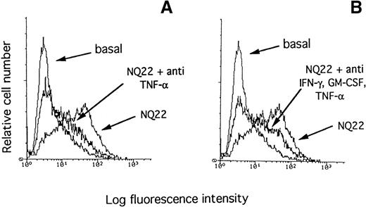 Fig. 8. Inhibition of VCAM-1 induction by TNF--neutralizing antibodies. / A polyclonal antibody (10 μg/mL) against TNF-α (A) or a mixture of polyclonal antibodies (3.3 μg/mL each antibody) against IFN-γ, GM-CSF, and TNF-α (B) were added to H-end80 cells during the coculture with NQ22 cells. The expression of VCAM-1 was assessed with mAb 429; basal, basal expression of VCAM-1 in H-end80 cells.