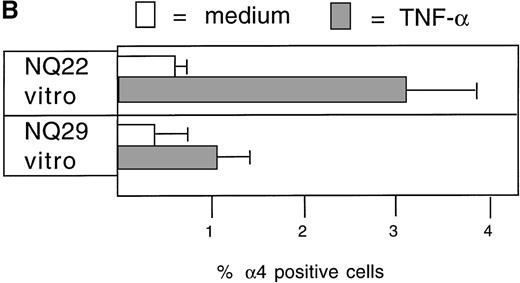 Fig. 11. Activated endothelium can up-regulate the expression of 4 integrins on NQ22 cells. / H-end80 cells grown to confluence were left untreated (upper panels) or were treated for 16 hours with 10 ng/mL TNF-α (lower panels) and then were cocultured for 24 hours with NQ22 or NQ29 cells grown in vitro. At the end of the incubation period, NQ cells were collected, the expression of α4 integrin subunit was determined with the use of PS/2 mAb, and the reactivity was examined by confocal fluorescence microscopy with pseudocolor enhancement. NQ22 cells from heavily infiltrated spleen (NQ22 vivo) were used as positive control. Selected fields with a relatively higher percentage of positive cells were chosen for display for NQ22 and NQ29 cells (A), whereas the percentage of positive cells is graphically depicted (B).