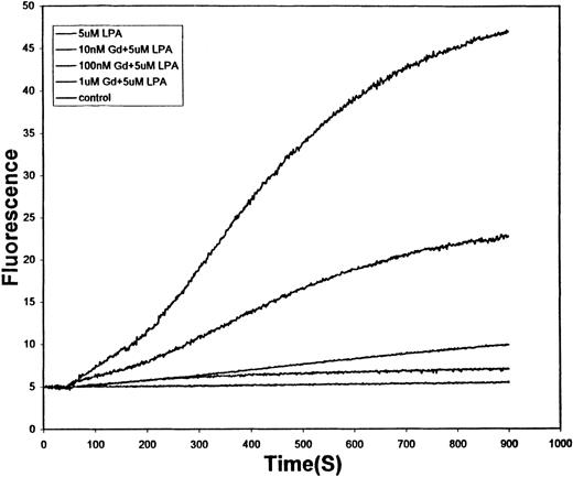 Fig. 5. Effect of various concentrations of Gd+3 on the LPA-stimulated influx of Ca++ into fresh human RBCs. / Conditions are the same as those described in Figure 1, except 5 μM LPA was used as the stimulus in all tracings other than the untreated control (lowest tracing). Gadolinium concentrations used from top to bottom are 0 nmol/L, 10 nmol/L, 100 nmol/L, 1 μmol/L, and 0 μmol/L (control).