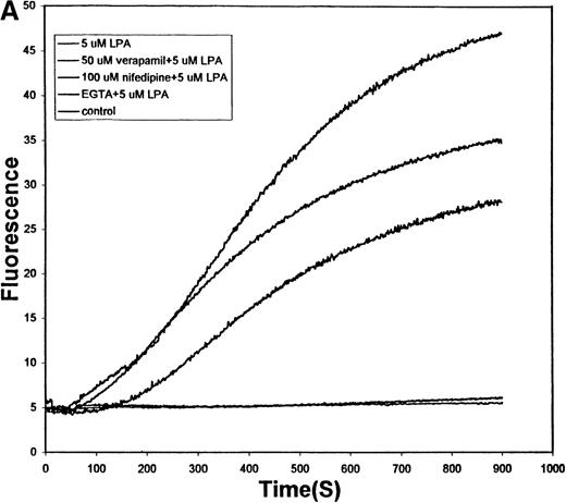 Fig. 6. Effect of L-type and P-type Ca++ channel blockers on the LPA-induced influx of Ca++ into human RBCs. / (A) Conditions are the same as those described in Figure 5, except that the RBCs were pretreated for 10 minutes with (top to bottom tracings) buffer only, 50 μmol/L verapamil, 100 μmol/L nifedipine, or 5 mmol/L EGTA before stimulation with 5 μmol/L LPA. The bottom tracing displays the response of unstimulated red cells. (B) RBCs were prepared as in Figure 6A, but the pretreatment involved a 20-minute exposure to buffer only before induction with 5 μmol/L LPA (dotted line), a 20-minute exposure to 1 μmol/L ω-agatoxin before stimulation with 5 μmol/L LPA (thick line), or treatment with buffer only (thin line). After the desired LPA stimulation (approximately 10 minutes), the cells were analyzed by flow cytometry as in Figure 4. Flow cytometry was used instead of fluorescence spectroscopy to reduce the amount of ω-agatoxin required to conduct the study. Agatoxin pretreatment reduced the fraction of fluorescent cells (Ca++ positive) from 21% to 4% in this sample. The unstimulated control RBCs contained 3% fluorescent cells.