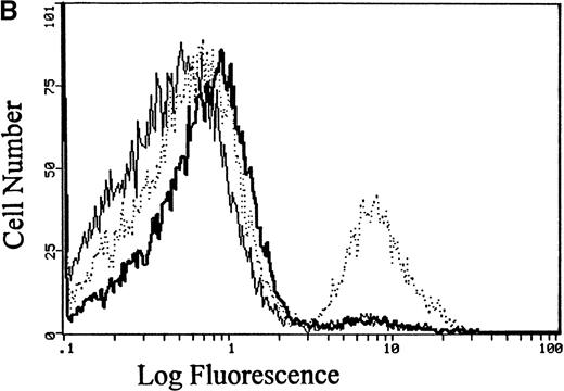 Fig. 6. Effect of L-type and P-type Ca++ channel blockers on the LPA-induced influx of Ca++ into human RBCs. / (A) Conditions are the same as those described in Figure 5, except that the RBCs were pretreated for 10 minutes with (top to bottom tracings) buffer only, 50 μmol/L verapamil, 100 μmol/L nifedipine, or 5 mmol/L EGTA before stimulation with 5 μmol/L LPA. The bottom tracing displays the response of unstimulated red cells. (B) RBCs were prepared as in Figure 6A, but the pretreatment involved a 20-minute exposure to buffer only before induction with 5 μmol/L LPA (dotted line), a 20-minute exposure to 1 μmol/L ω-agatoxin before stimulation with 5 μmol/L LPA (thick line), or treatment with buffer only (thin line). After the desired LPA stimulation (approximately 10 minutes), the cells were analyzed by flow cytometry as in Figure 4. Flow cytometry was used instead of fluorescence spectroscopy to reduce the amount of ω-agatoxin required to conduct the study. Agatoxin pretreatment reduced the fraction of fluorescent cells (Ca++ positive) from 21% to 4% in this sample. The unstimulated control RBCs contained 3% fluorescent cells.